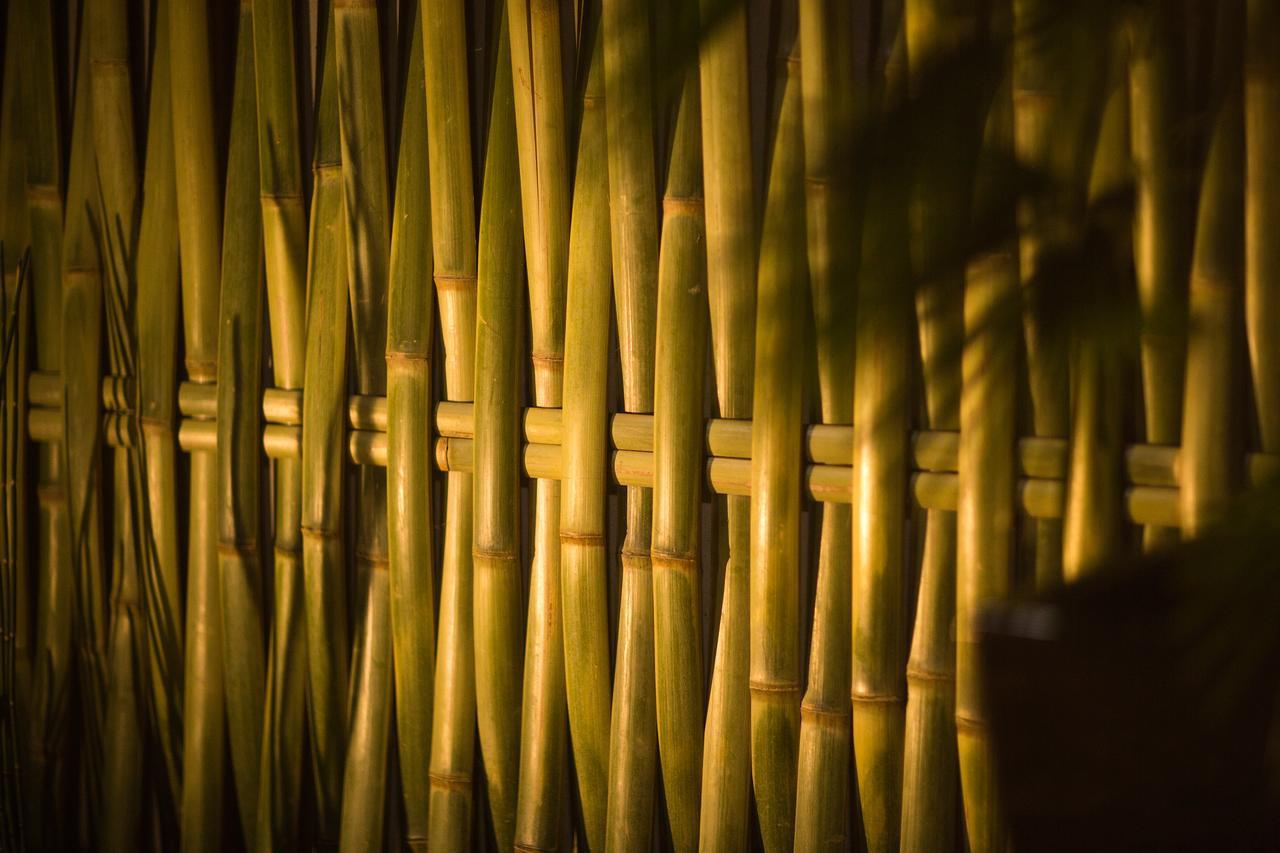 Ryokan Kanade Kyoto Ngoại thất bức ảnh